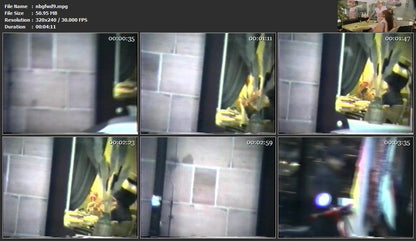 308 misc 80s shampooing 28 videoclips for download