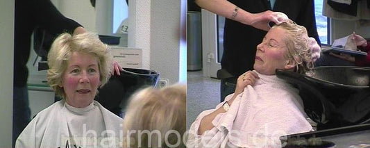 b003 s0172 shampooing and blow