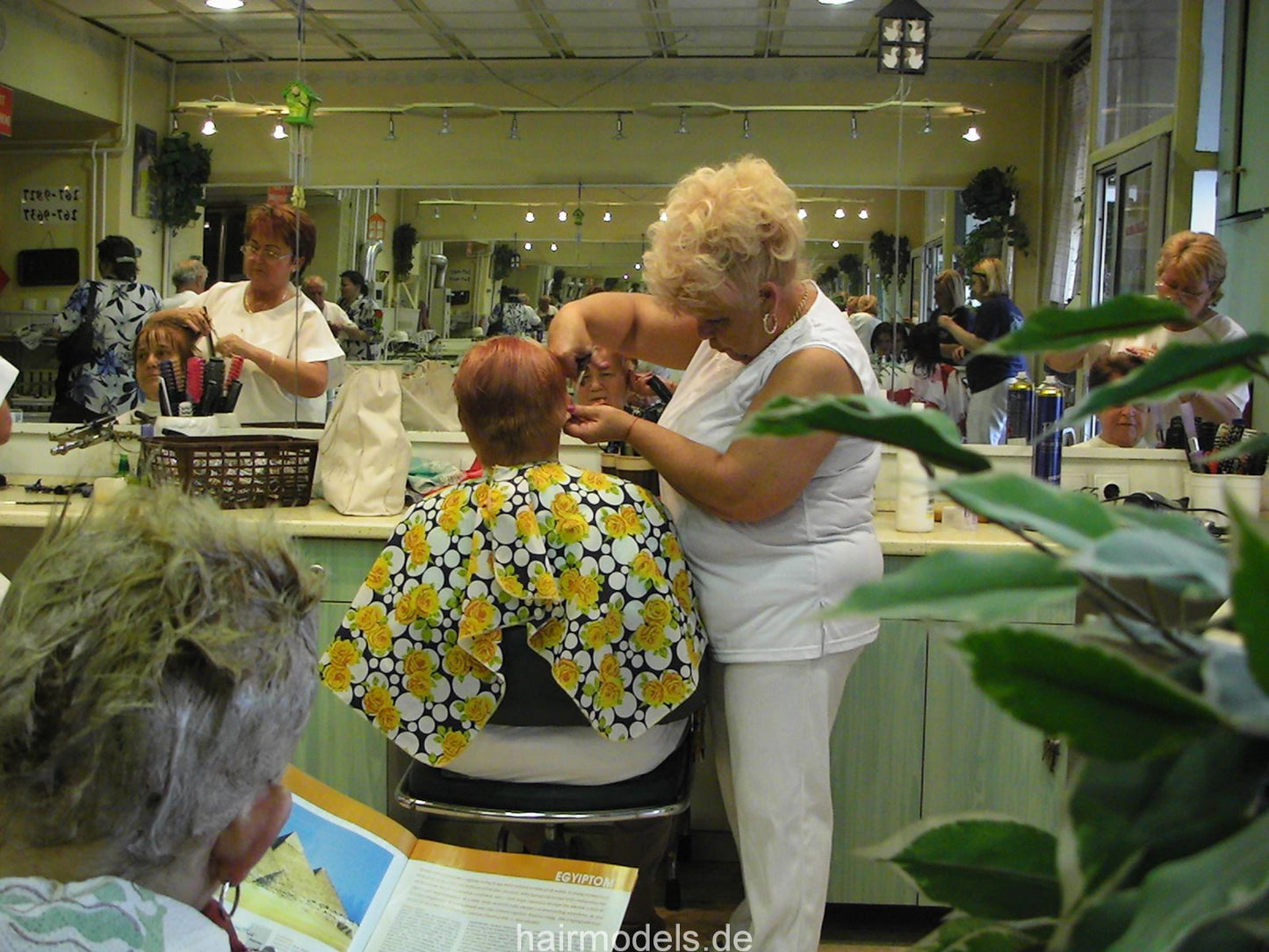 144 a day in old f hungarian salon, smoking barberettes, gas grill curling iron etc  TRAILER