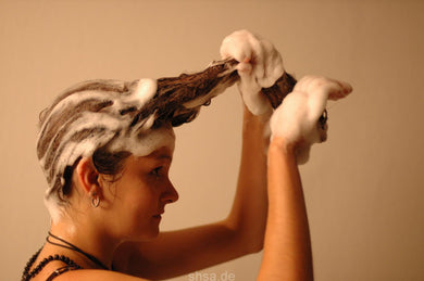 9033 Babette self shampooing  bucket hairwash