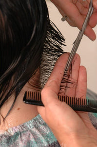 874 SandraS haircut shorthair Kultsalon barberette